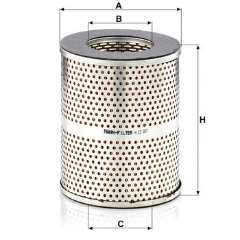Filtru hidraulic - MANN-FILTER [H 13 007 x]