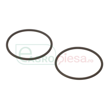 O-RING - CNH Industrial [14459381]