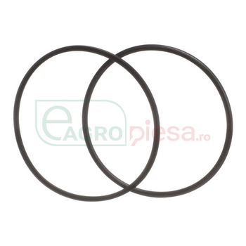 O-RING - CNH Industrial [5194880]