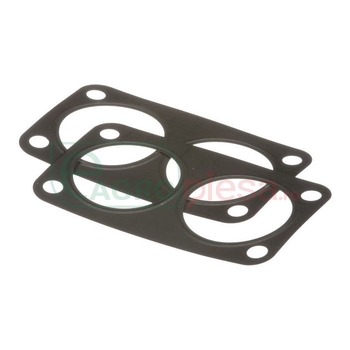 Garnitura termostat 0,4mm - CNH Industrial [87394472]