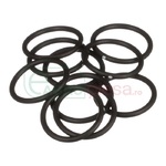 O-ring - CNH Industrial [14463680]