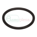 O-RING - CNH Industrial [235757]