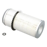 Filtru aer primar - CNH Industrial - [3125199R2]