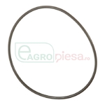 O-RING - CNH Industrial [47546830]