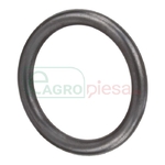 O-RING - CNH Industrial [4890926]