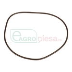 O-RING - CNH Industrial [86504449]