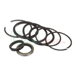 KIT GARNITURI - CNH Industrial [86557266]