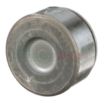 Piston etrier frana - CNH Industrial [9850149]