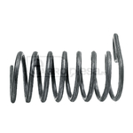 Element de fixare cu arc de rasucire - GRANIT [525PZ-100]