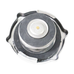 Buson radiator - CNH Industrial - [A170241]