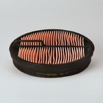 Filtru aer secundar - Donaldson - [P547520]